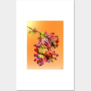 Colorful Oak Leaves Posters and Art